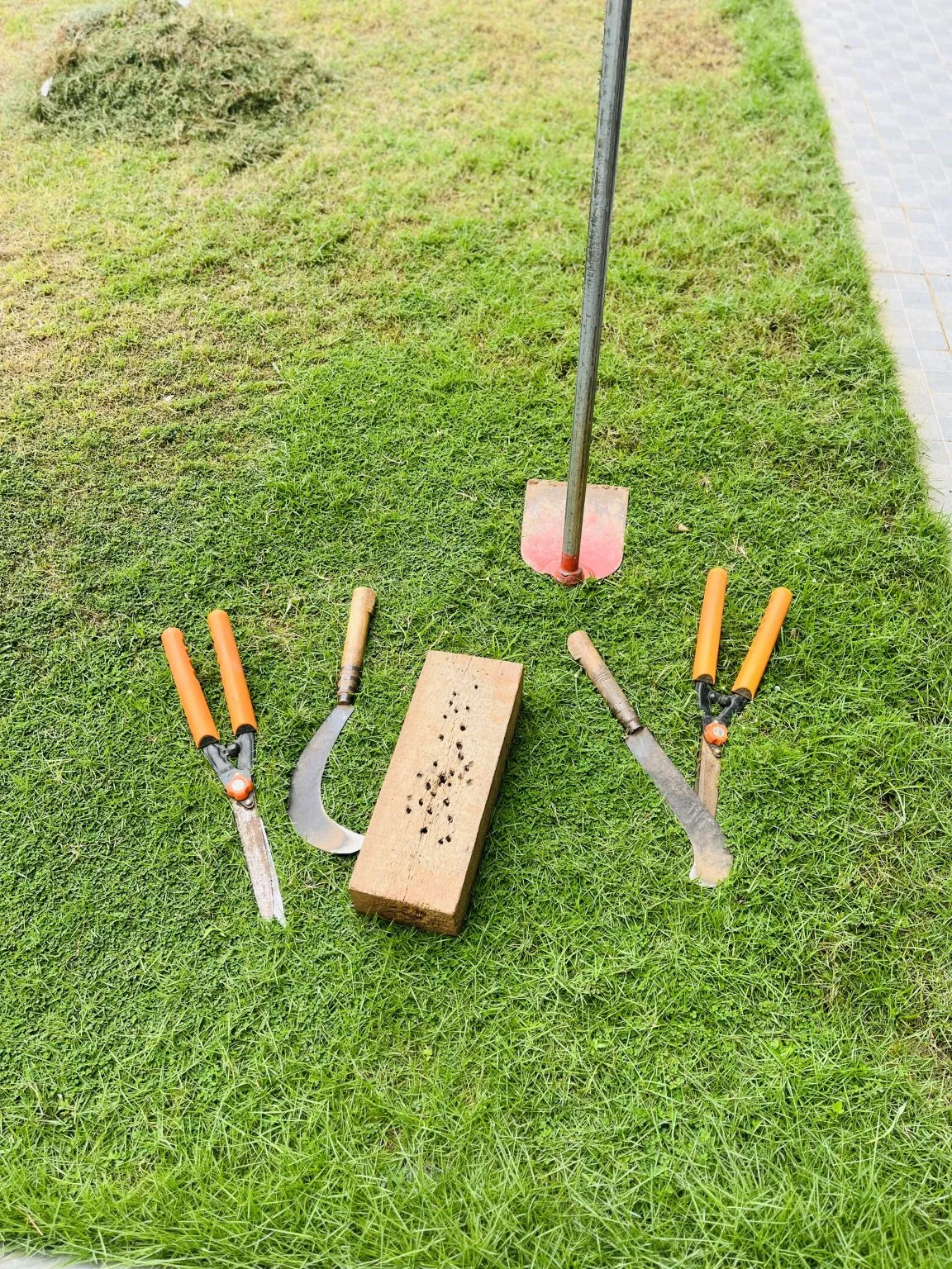Gardening tools, including pruning shears and a sickle, laid out on grass beside a wooden block.